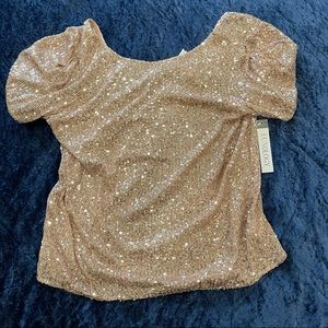 NWT Luxology Sequin Blouse with Balloon Sleeves